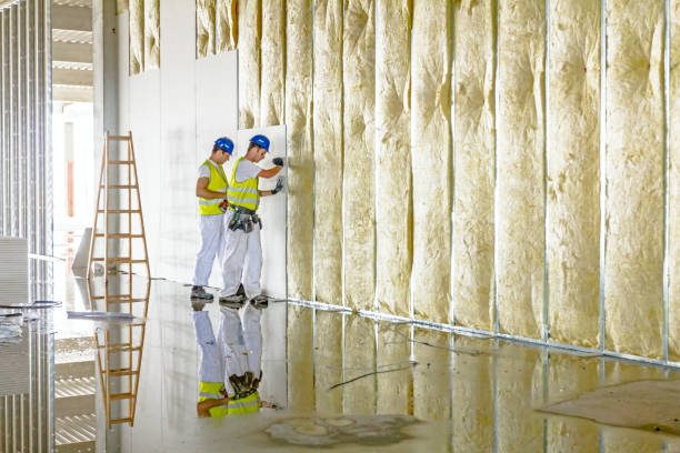 Best Insulation Installation Services in Rockvale, TN